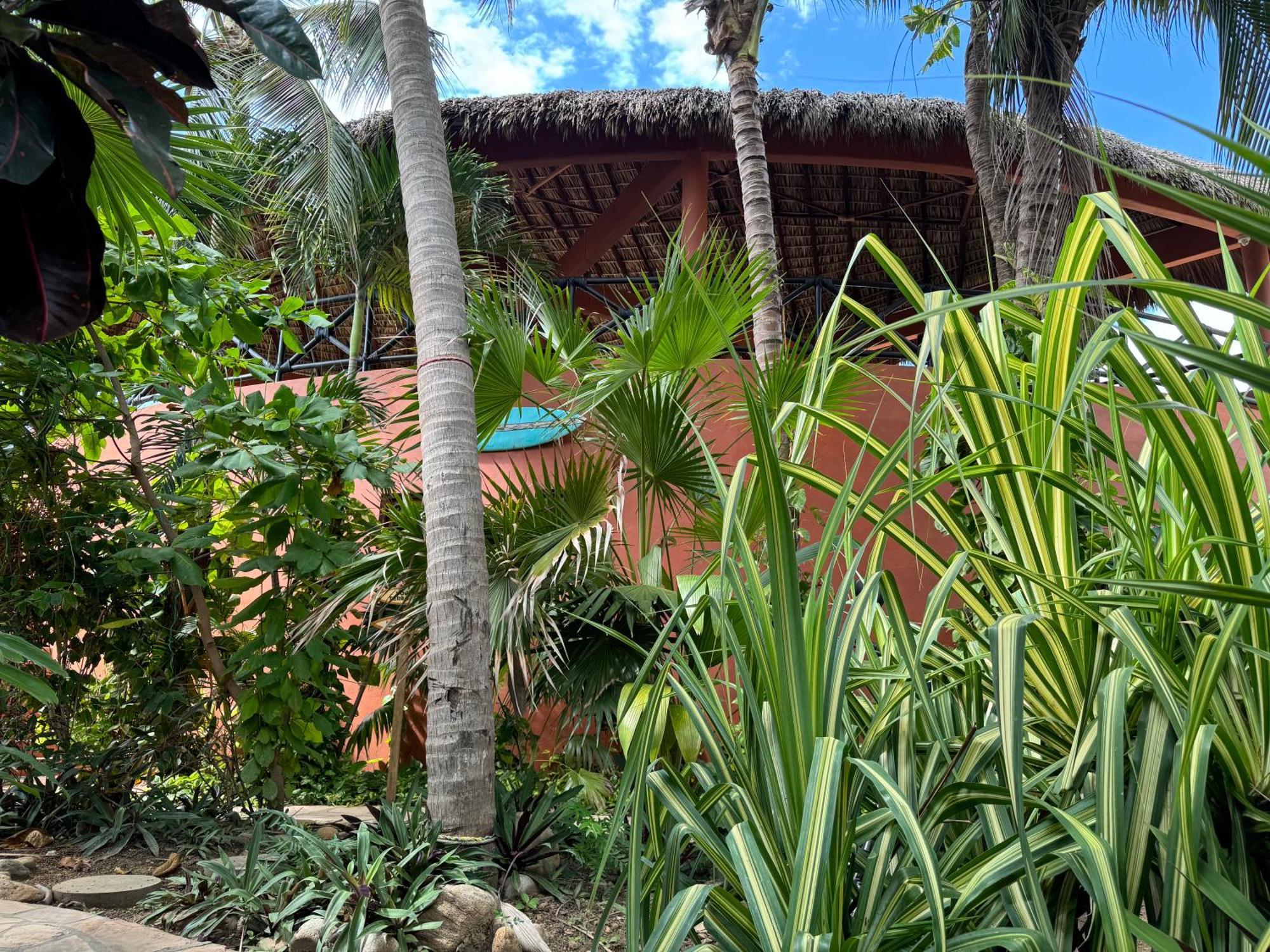 One Love Hostal Puerto Escondido Екстериор снимка