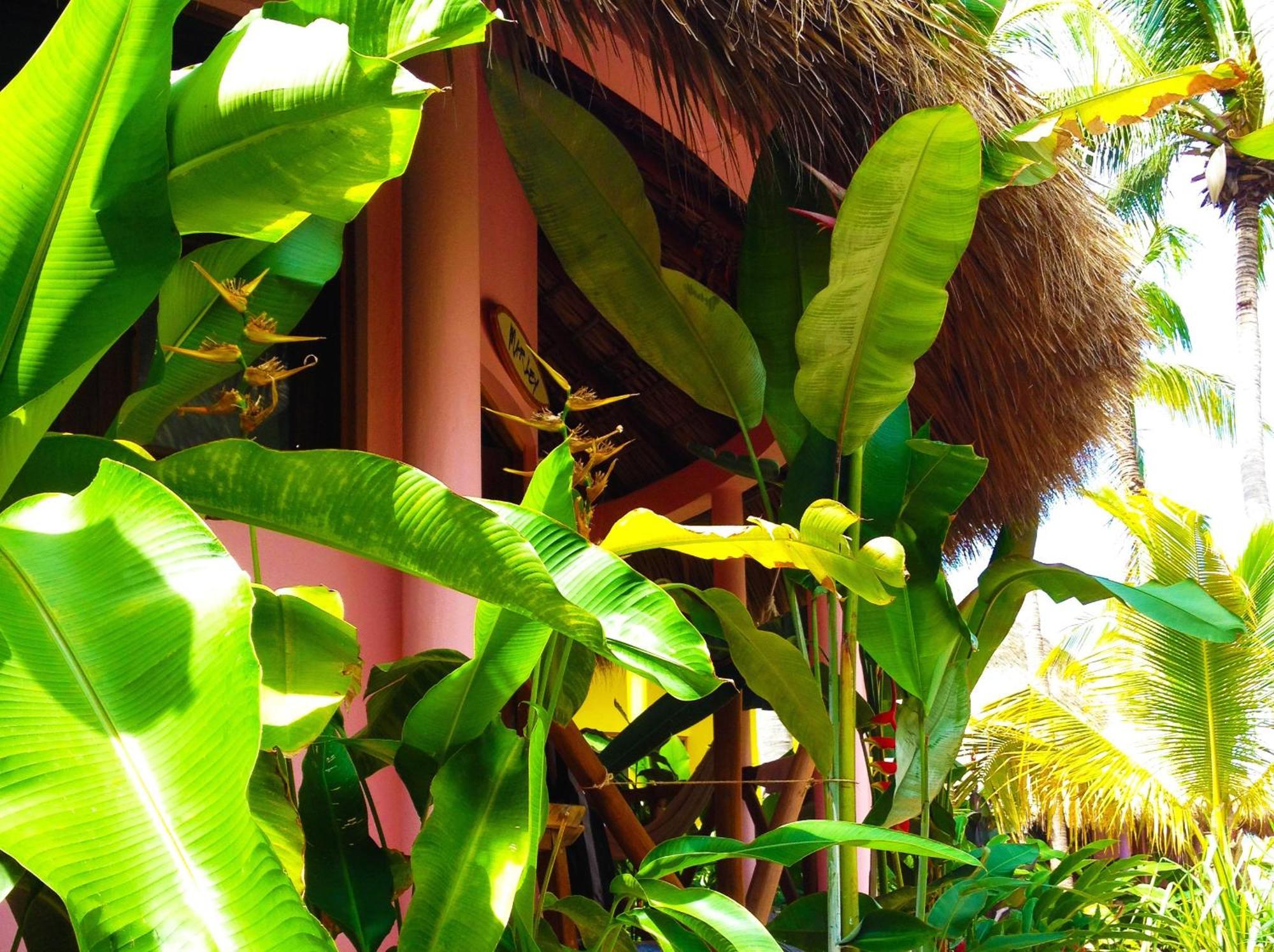 One Love Hostal Puerto Escondido Екстериор снимка